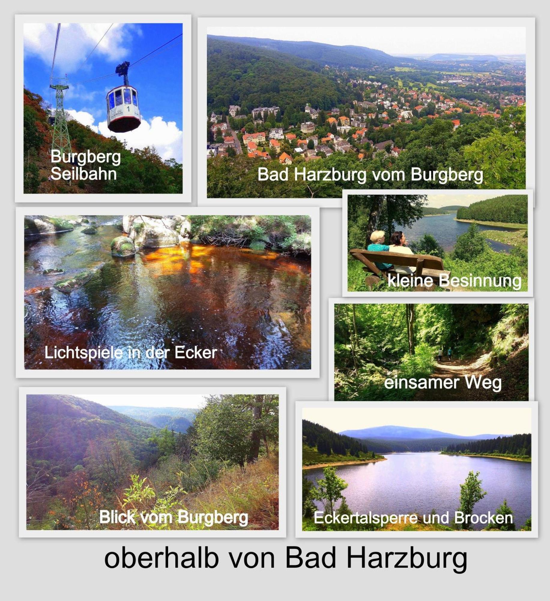Fewo-Radau Bad Harzburg Eksteriør bilde